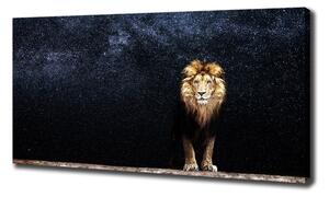 Tablou pe pânză canvas Leul pe fondul de stele