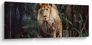 Tablou cu leu în natură (cu ceas) (90x30 cm)