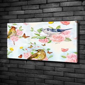 Tablou pe pânză canvas Păsări și trandafiri