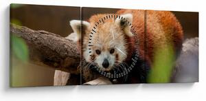 Tablou cu panda roșie (cu ceas) (90x30 cm)