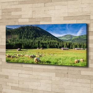 Imprimare tablou canvas Oi în munții Tatra