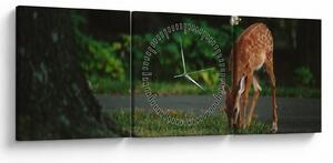 Tablou cu pui de cerb (cu ceas) (90x30 cm)