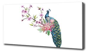 Tablou pe pânză canvas Peacock și flori