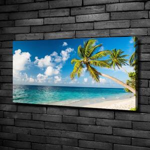 Imprimare tablou canvas plaja Maldive