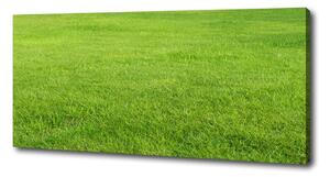 Tablou pe pânză iarbă verde