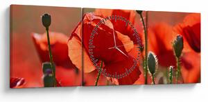 Tablou cu flori de maci (cu ceas) (90x30 cm)