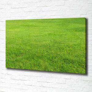 Tablou pe pânză iarbă verde