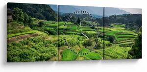 Tablou cu câmp de orez (cu ceas) (90x30 cm)