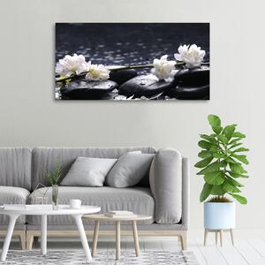 Imprimare tablou canvas floare de cires