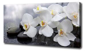 Print pe pânză Orhidee