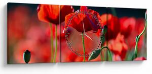 Tablou - flori de maci (cu ceas) (90x30 cm)