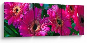 Tablou - floare (cu ceas) (90x30 cm)