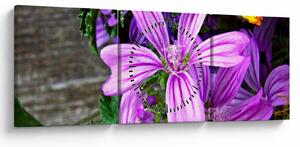 Tablou -flori de câmp (cu ceas) (90x30 cm)