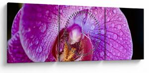 Tablou detailat cu floare de orhidee (cu ceas) (90x30 cm)