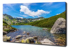 Print pe canvas Tatra Valley