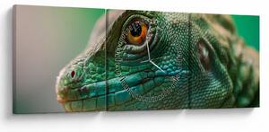 Tablou detailat cu o șopârlă (cu ceas) (90x30 cm)