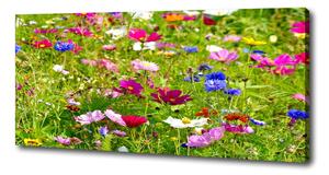 Tablouri tipărite pe pânză flori de câmp