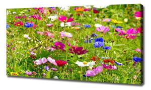 Tablouri tipărite pe pânză flori de câmp