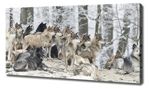 Print pe pânză lupi în timpul iernii
