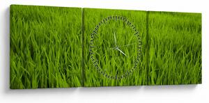 Tablou cu iaraba (cu ceas) (90x30 cm)