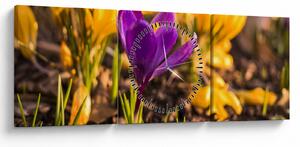 Tablou cu floare violetă (cu ceas) (90x30 cm)