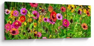 Tablou cu flori de luncă (cu ceas) (90x30 cm)