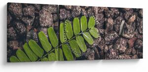 Tablou cu planta verde (cu ceas) (90x30 cm)