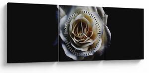 Tablou cu trandafir alb (cu ceas) (90x30 cm)