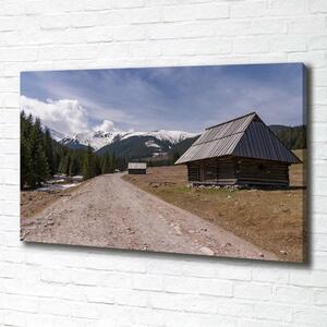 Tablou pe pânză canvas Casa în munți