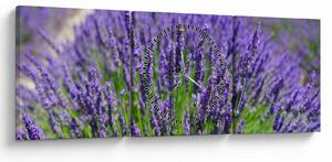 Tablou - lavanda (cu ceas) (90x30 cm)