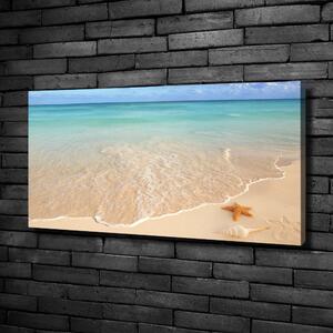 Tablou canvas Starfish pe plajă