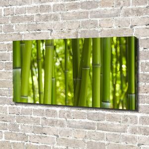 Tablou canvas Bambus