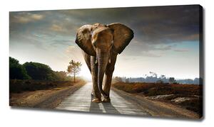 Tablou pe pânză elefant de mers pe jos