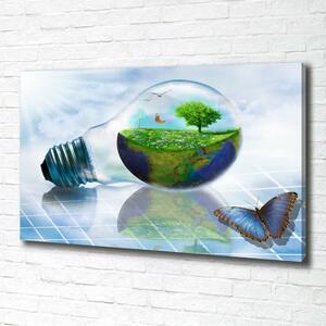 Tablou canvas resurse ecologice