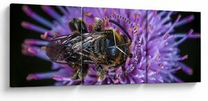 Tablou cu albina pe floare (cu ceas) (90x30 cm)