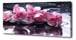 Tablou pe pânză canvas orhidee roz