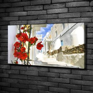 Imprimare tablou canvas Mykonos Grecia