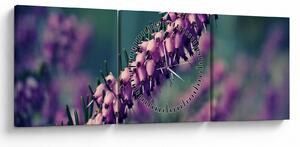 Tablou cu lavanda (cu ceas) (90x30 cm)