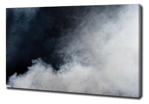 Tablou pe pânză canvas fum alb