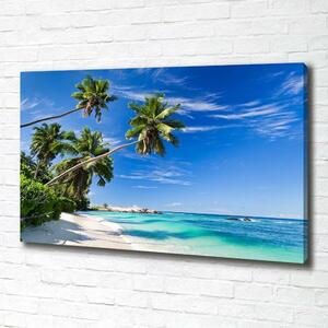 Tablou pe pânză canvas plaja tropicala