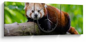 Tablou cu panda roșie (cu ceas) (90x30 cm)