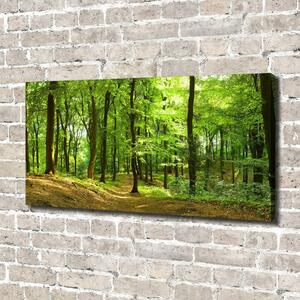 Tablou pe pânză canvas drum forestier