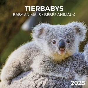 Calendar 2025 Baby Animals