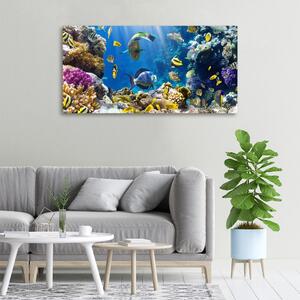 Print pe canvas recif de corali