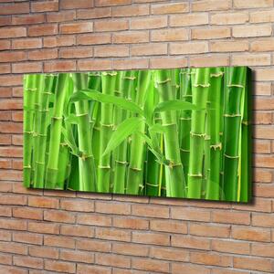 Tablouri tipărite pe pânză bambusul
