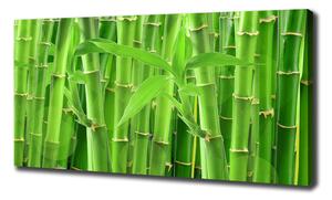 Tablouri tipărite pe pânză bambusul