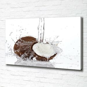 Pictură pe pânză nucă de cocos