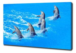 Pictură pe pânză delfini