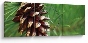 Tablou cu con (cu ceas) (90x30 cm)