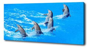 Pictură pe pânză delfini